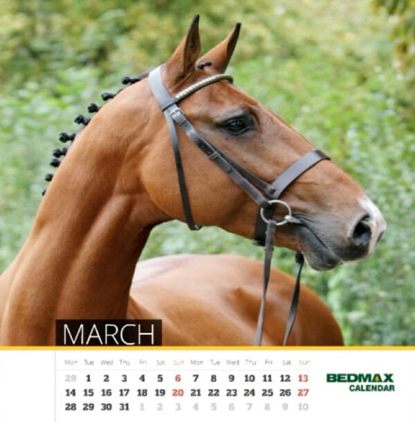 Bedmax 2023 Calendar Competition
