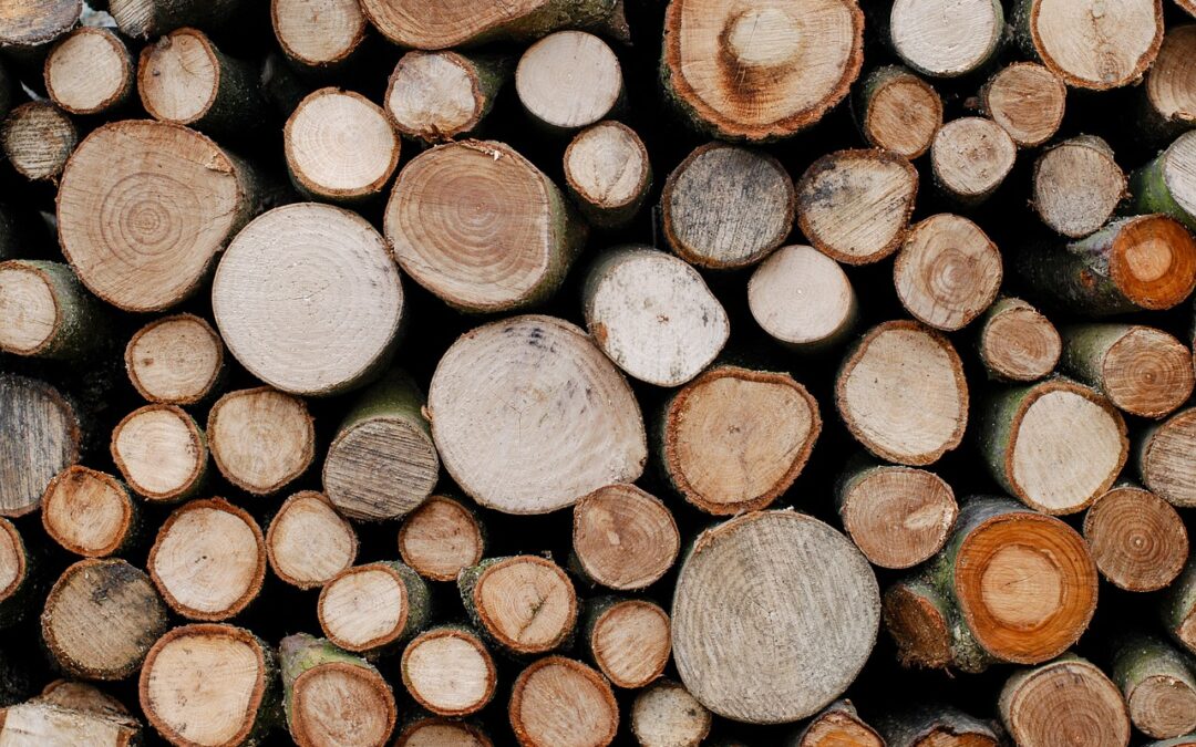 An interview with Matt Kelly – Bedmax timber buyer