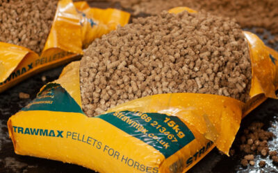 Can I use straw pellets under shavings as horse bedding?