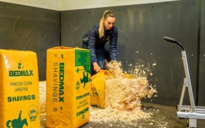 Bedmax Launches UK’s First AMTRA Accredited CPD Equine Bedding Management and Wellbeing Awareness Course