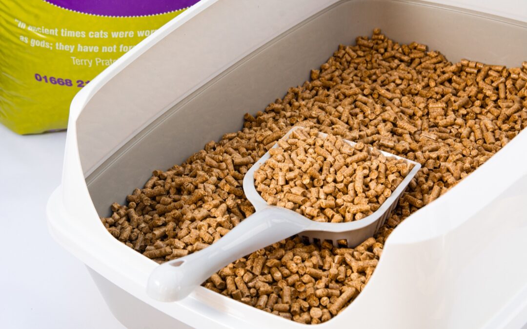 Bedmax has developed Catmax, a sustainable cat litter.