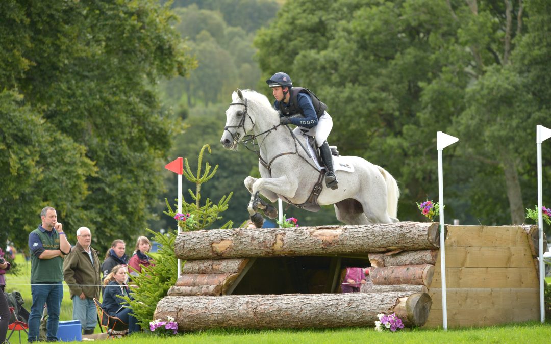 Horses at Blair Castle to be Bedded on Bedmax